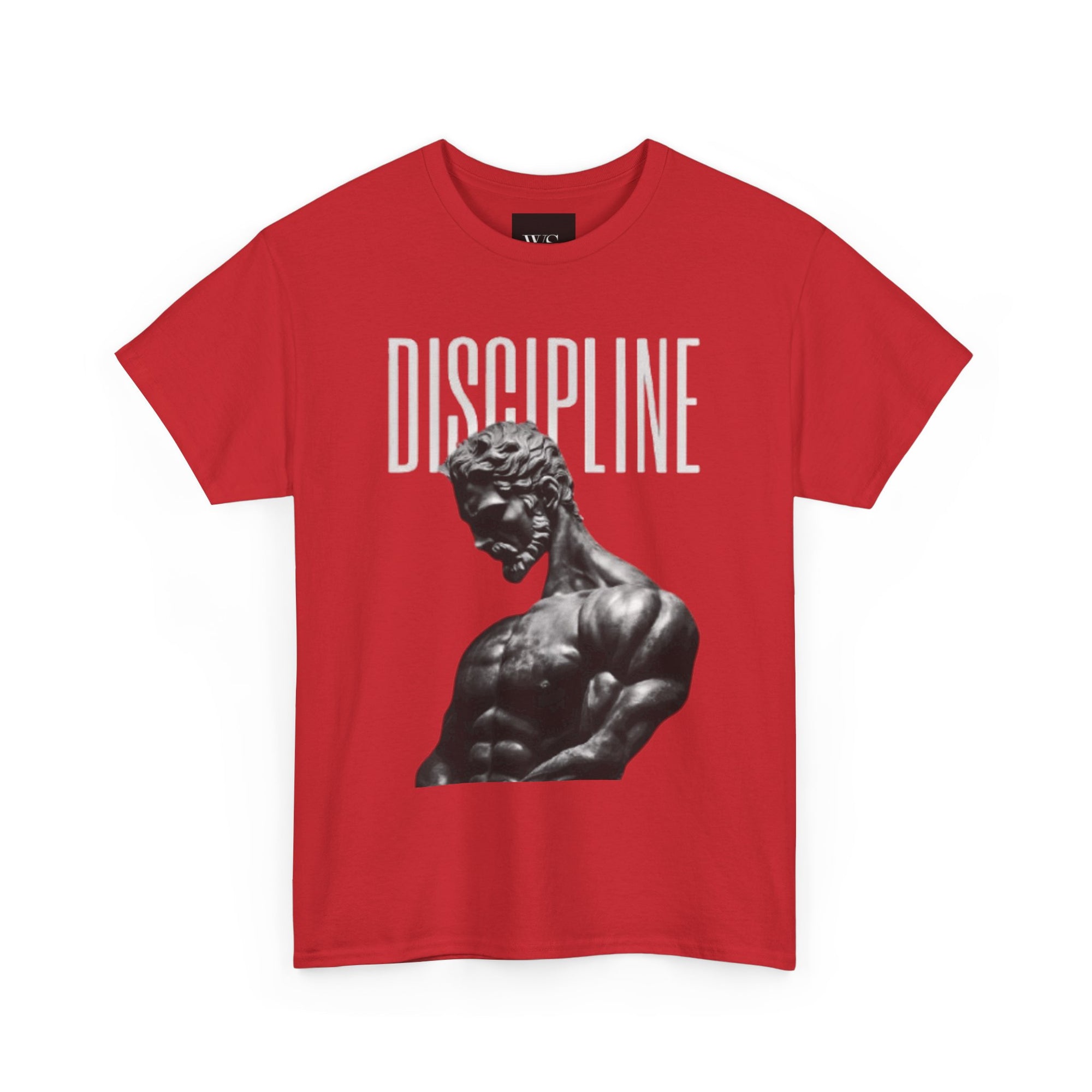 Discipline